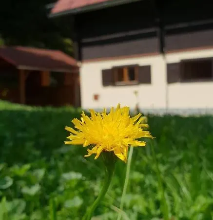 Chata Safran * Zuberec