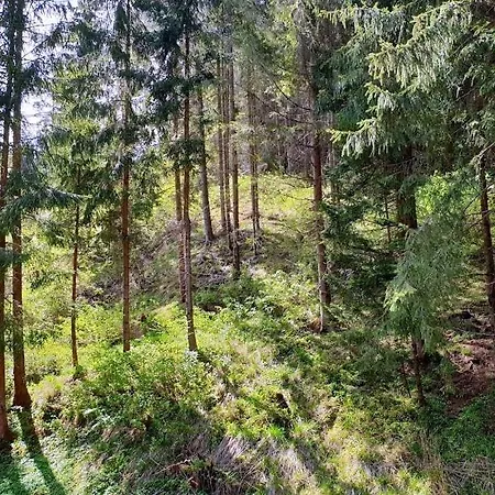 Chata Safran Chalet